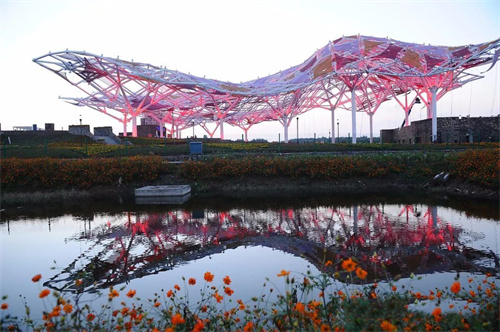 网格膜，可利用于哪些范畴呢？   