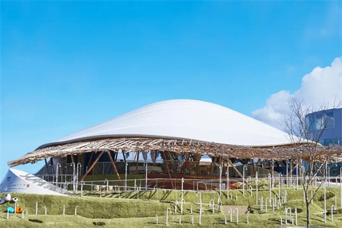 寒假来啦，佛兰空间为您分享儿童友爱无妨碍馆「水母馆」